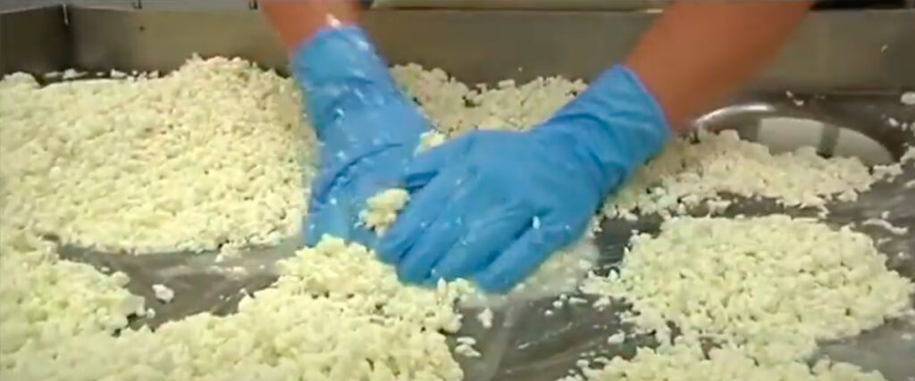 cuajado elaboración del queso