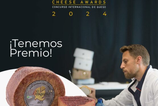 premios cincho 2024